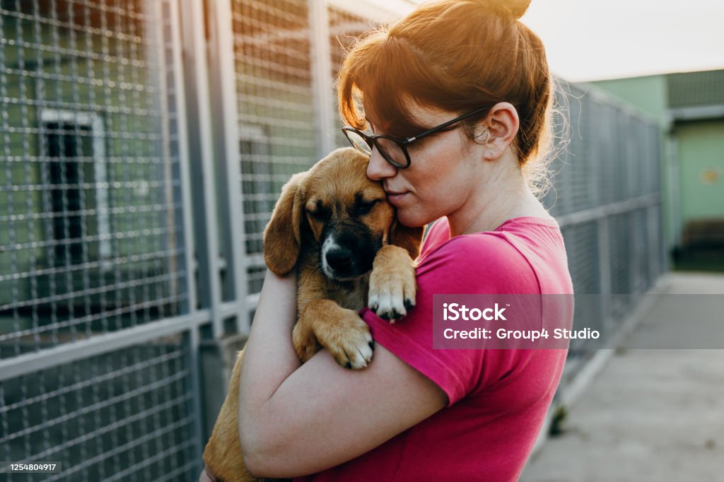 Young woman adopting dog from a shelter.