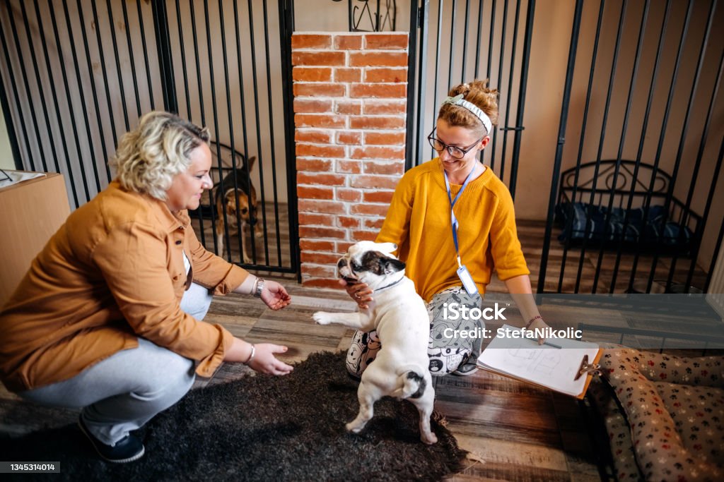 Young woman with worker choosing which dog to adopt from a shelte